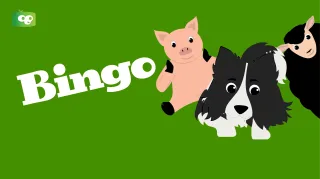 BINGO Video for Preschoolers
