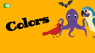 Colors Video for Preschoolers