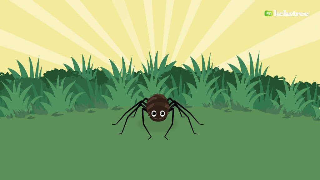 Itsy Bitsy Spider educational video