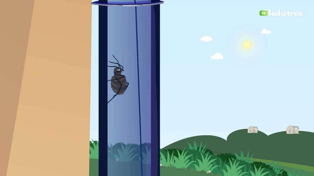 use Itsy Bitsy Spider to teach your child