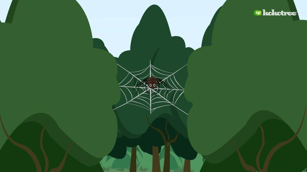 The Itsy Bitsy Spider Song Kids Learning Videos