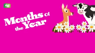 Months Of The Year Video for Preschoolers