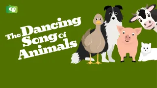 The Dancing Song of Animals Video for Preschoolers