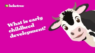 What is early childhood development?