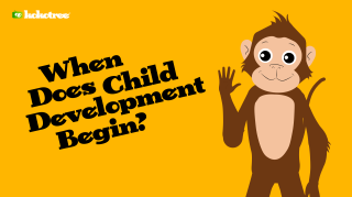 When Does Child Development Begin?