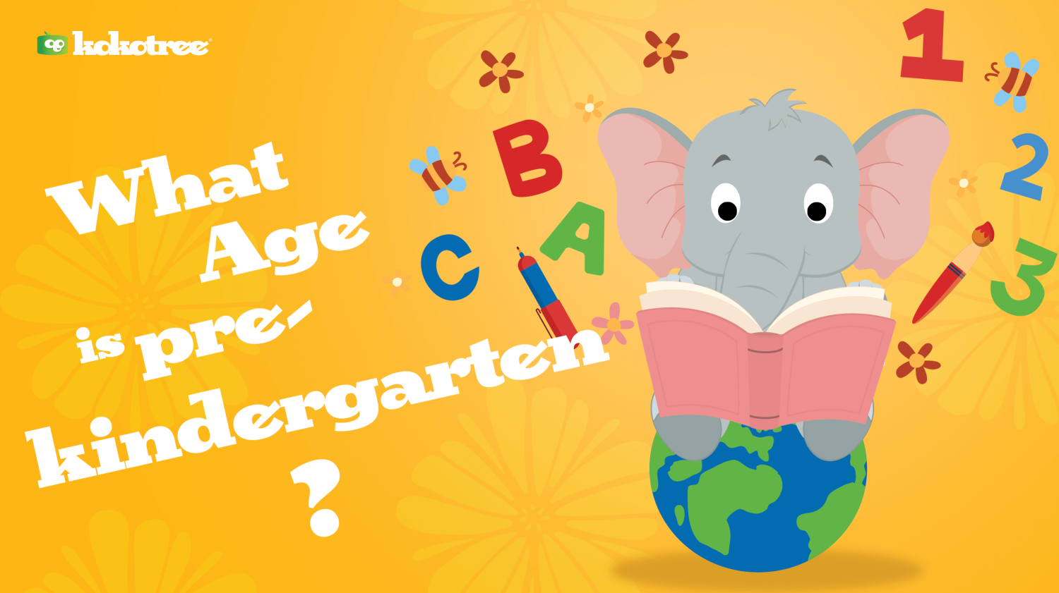 What age is pre-kindergarten?