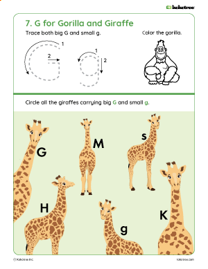 Letter G worksheet for preschool