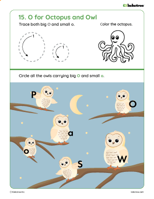 Letter O worksheet for preschool