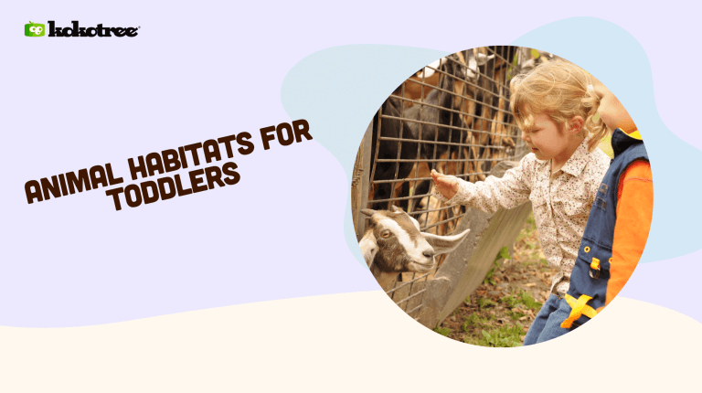 animal habitats for toddlers