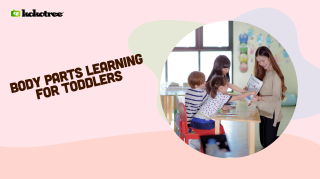 body parts learning for toddlers