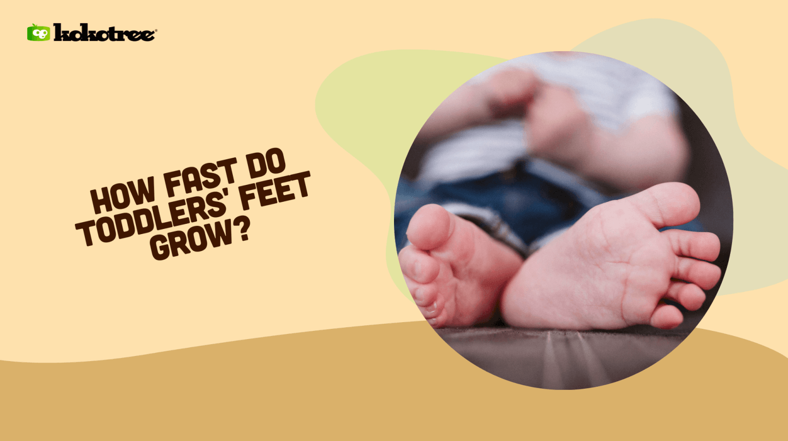 How Fast Do Toddlers' Feet Grow? Kokotree