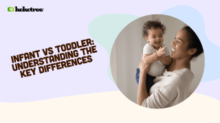 infant vs toddler understanding the differences