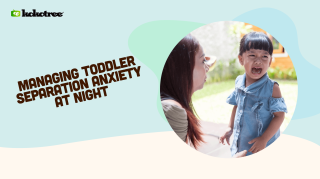 Managing Toddler Separation Anxiety at Night