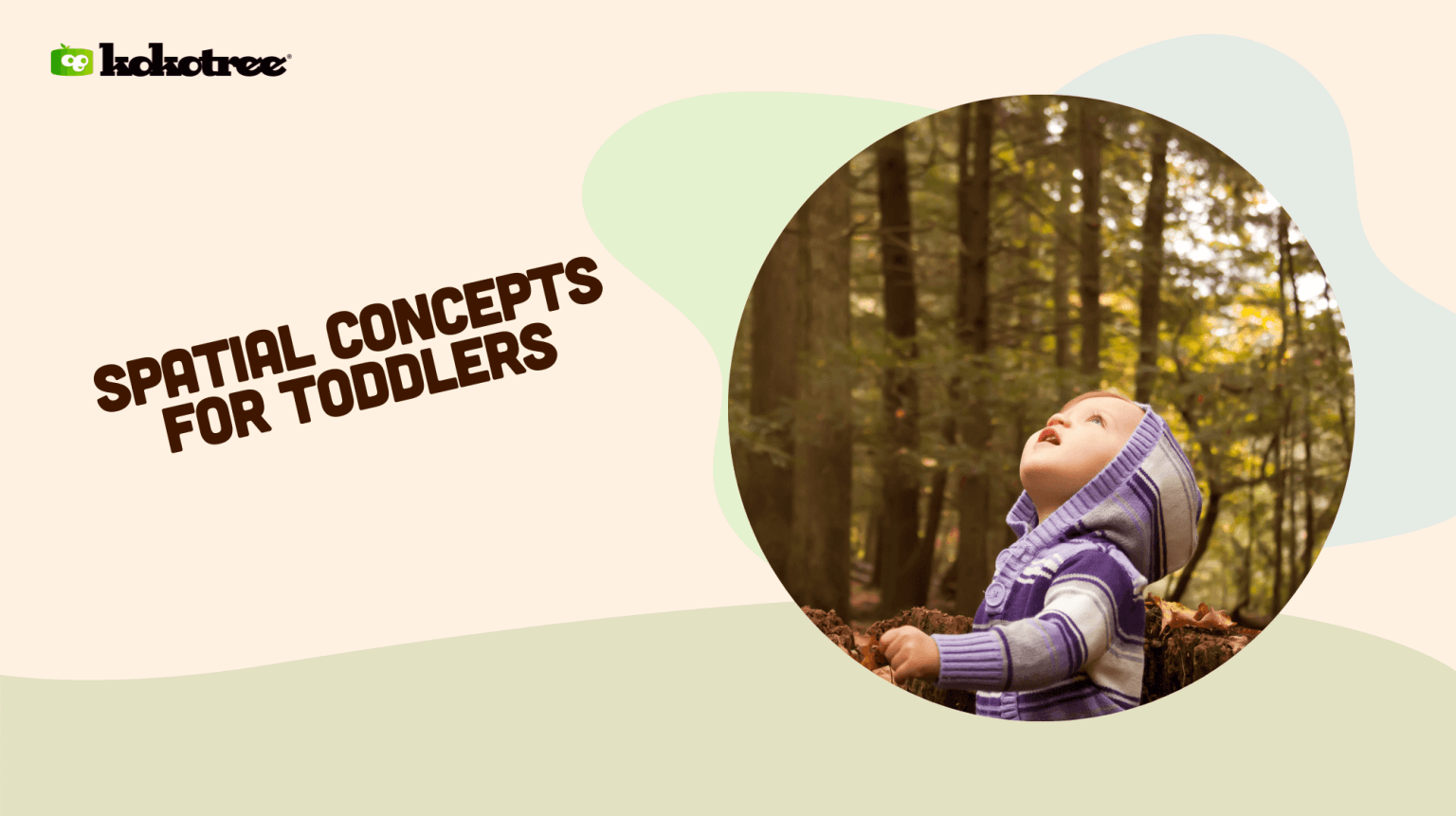 Spatial Concepts for Toddlers - Kokotree