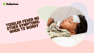toddler fever no other symptoms when to worry