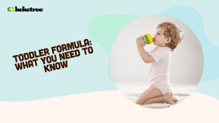 toddler formula what you need to know