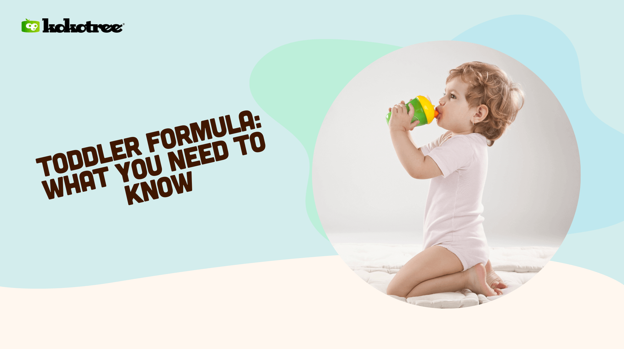 Toddler Formula What You Need to Know Kokotree