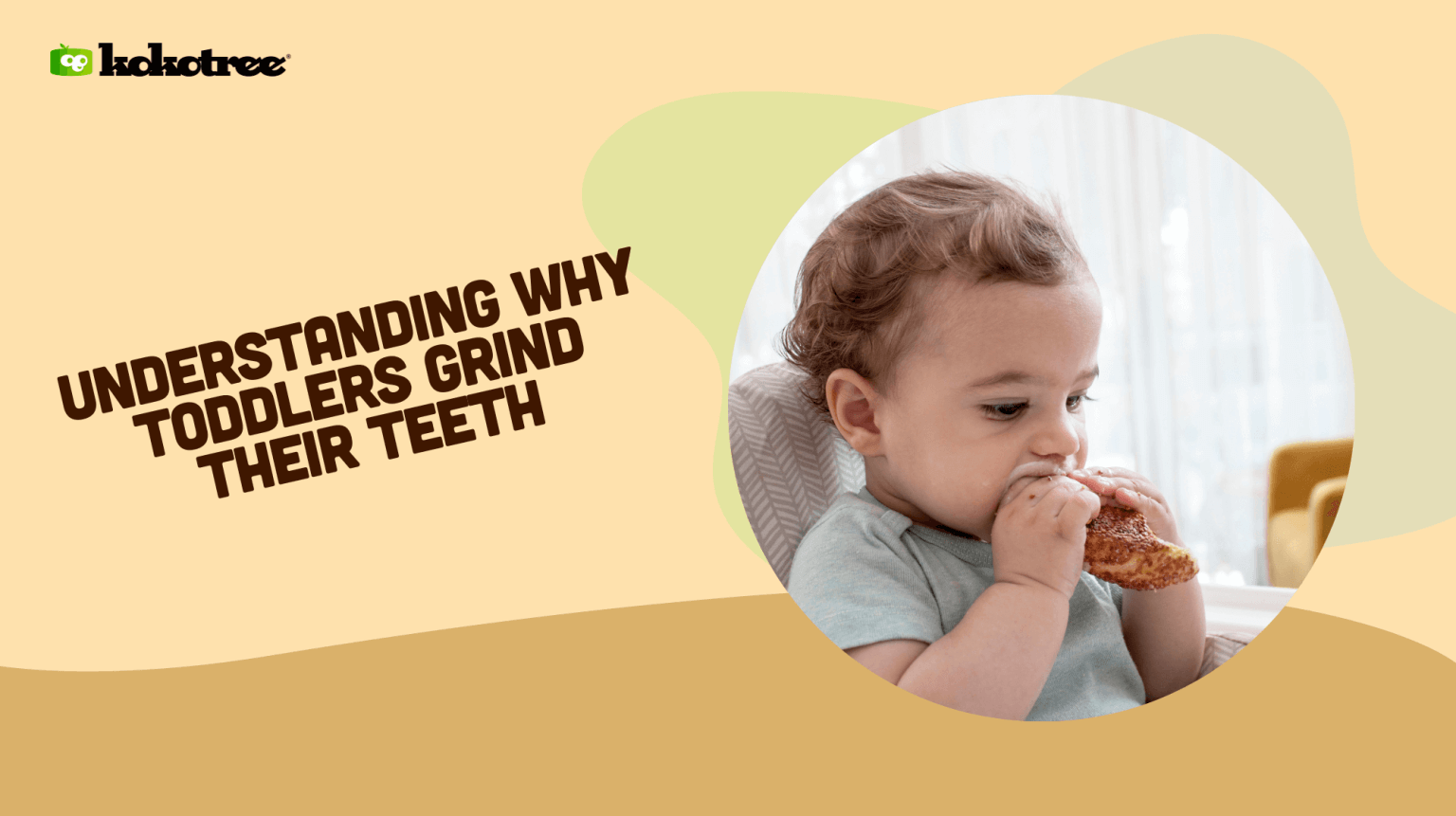 Understanding Why Toddlers Grind Their Teeth Kokotree