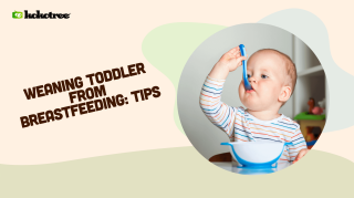 weaning toddler from breastfeeding tips
