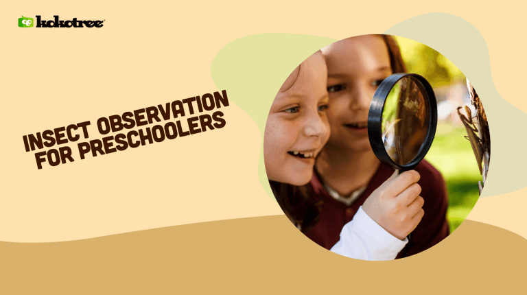 insect observation for preschoolers