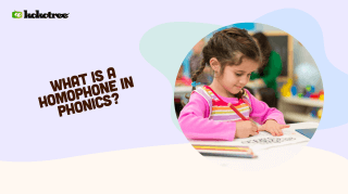 what is a homophone in phonics