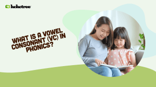 what is a vowel consonant (vc) in phonics