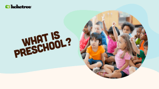 What is Preschool? Definition of Preschool