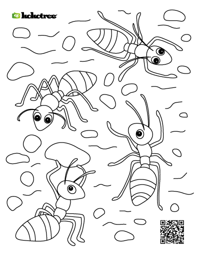 ants coloring pages