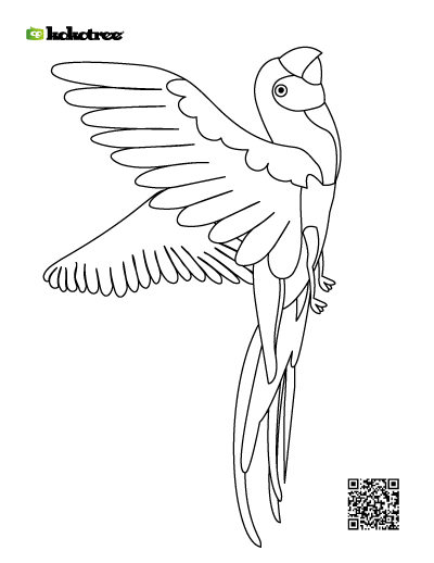 bird coloring pages