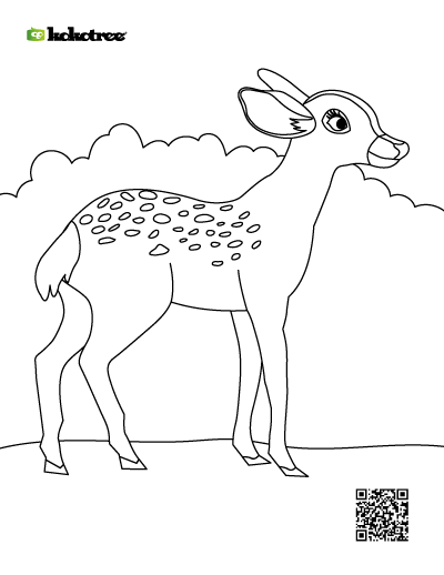 deer coloring pages