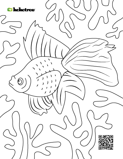 fish coloring worksheets