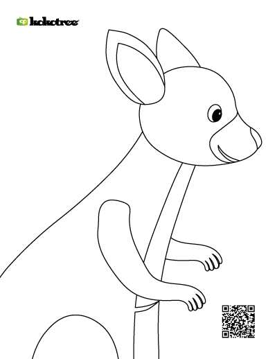 kangaroo coloring pages