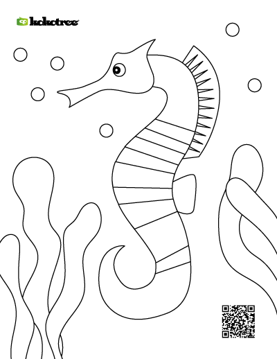 seahorse coloring pages