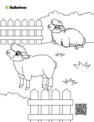 sheep coloring pages