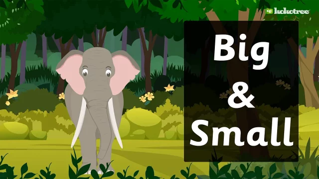 Discover Size Secrets: Big vs. Small