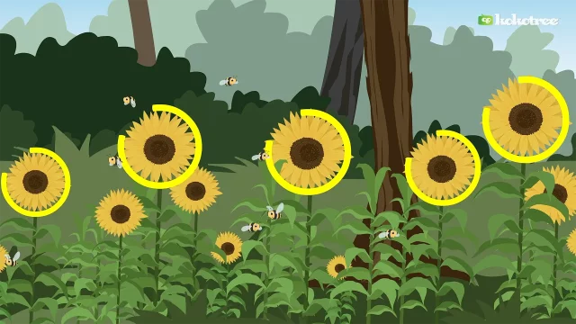 Explore the Jungle: Yellow Circles Await
