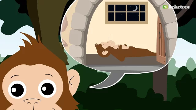 Eddy and Ruby's Line Showcase