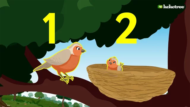 Spotlight on 2: Find Birds, Double the Fun