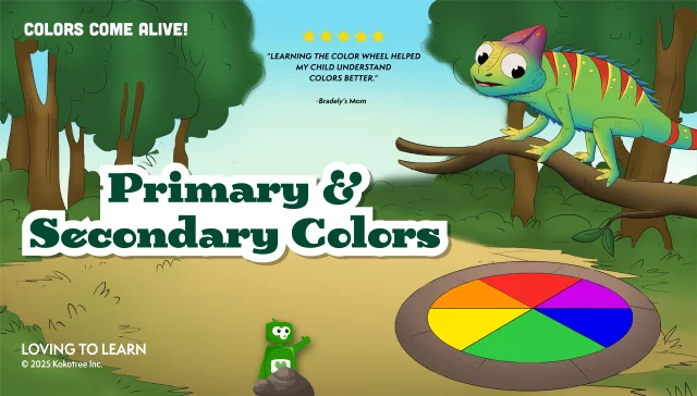Primary & Secondary Colors
