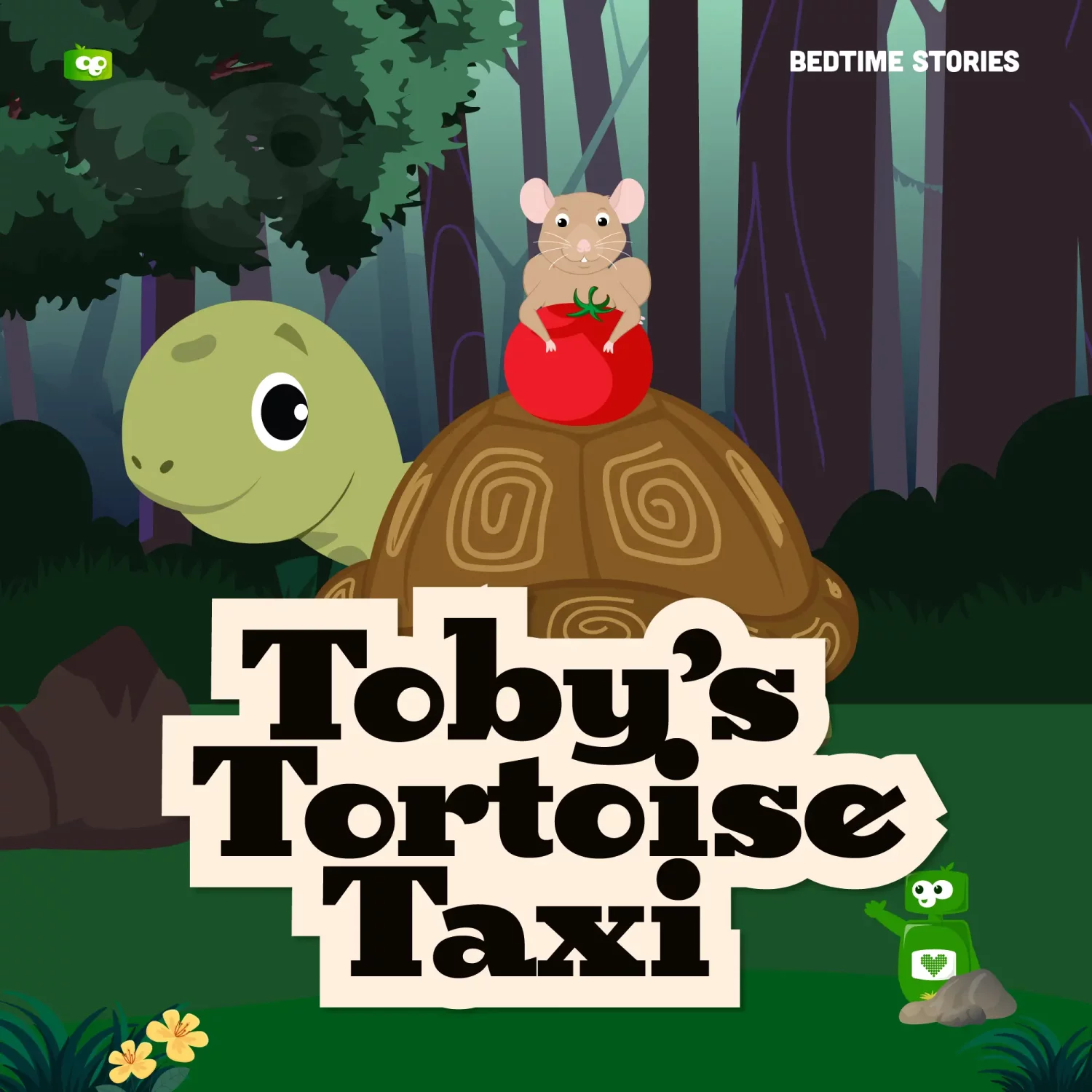 Toby's Tortoise Taxi Preschool Learning Story